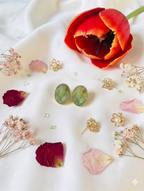 Stone Stud Earring